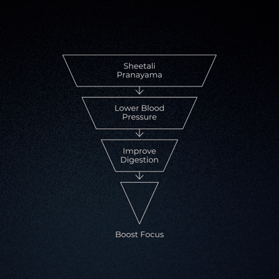 The image features an inverted triangle, symbolizing a downward flow of benefits from practicing Sheetali Pranayama:  At the top, we have "Sheetali Pranayama," signifying the starting point. The next level down reads "Lower Blood Pressure," a key benefit. Following is "Improve Digestion," indicating another important advantage. And at the tip of the triangle, we see "Boost Focus," suggesting the focus-enhancing effects of the practice.