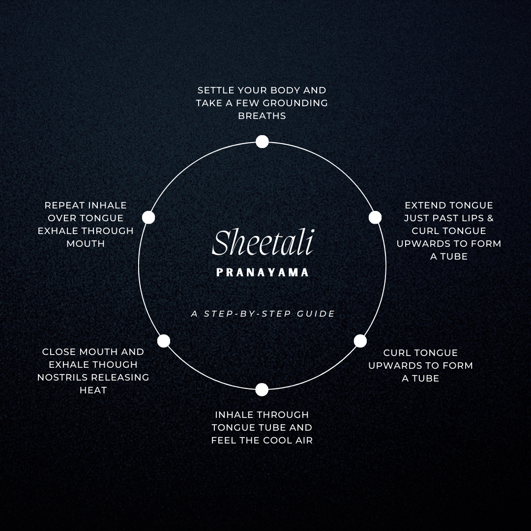 Infographic displaying 'Sheetali Pranayama: A Step-by-Step Guide.' A circular flowchart on a textured black background guides through the practice: 1. 'Settle your body and take a few grounding breaths,' 2. 'Extend tongue just past lips & curl tongue upwards to form a tube,' 3. 'Inhale through tongue tube and feel the cool air,' 4. 'Close mouth and exhale though nostrils releasing heat,' 5. 'Repeat inhale over tongue, exhale through mouth.' The central text 'Sheetali Pranayama' is highlighted in white with a subtitle 'A Step-by-Step Guide' beneath i